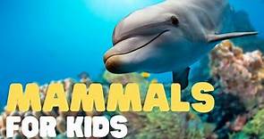 Mammals for Kids | Learn all about the unique characteristics of mammals and what mammals are!