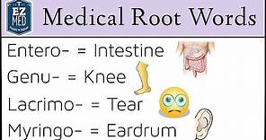 Medical Terminology: Root Words MADE EASY [Nursing, Students, Coding Classes]