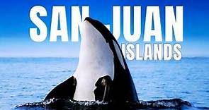 The ULTIMATE Travel Guide to the San Juan Islands WA