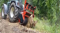 Professional tree stump grinder