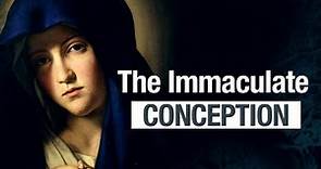 Immaculate Conception Explained!