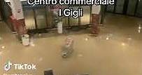 centro commerciale i Gigli