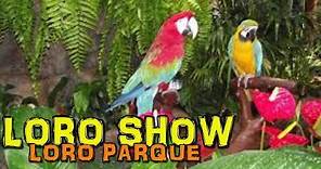 Loro Parque: LORO SHOW - Tenerife (4K)