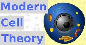 6 Main Points of Modern Cell Theory