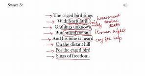 I Know Why The Caged Bird Sings Explained