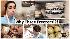 Homestead Freezer Tour and a Surprise Gift | Two Deep Freezes and a Stand Up Freezer