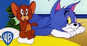 Tom y Jerry en Latino | Dibujos animados clásicos 115 | WB Kids