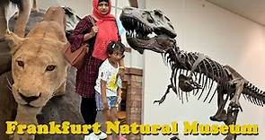 Frankfurt Dinosaur Museum | Naturmuseum Senckenberg | Natural History Museum