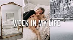 Week In My Life: New Furniture Delivery, My Favorite Blankets Lil Clothing Haul!