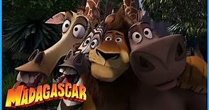 DreamWorks Madagascar | Alex Saves The Day | Madagascar Movie Clip