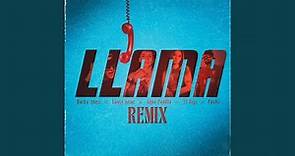 Llama (Remix)