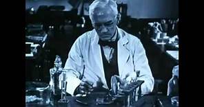 How Alexander Fleming Accidentally Discovered Penicillin