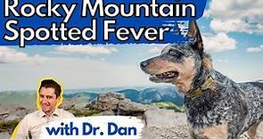 Rocky Mountain Spotted Fever In The Dog. Dr. Dan Explains disease, symptoms, and treatment.