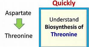 Threonine Biosynthesis