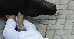 Un herido por asta de toro en el sexto encierro de San Fermín