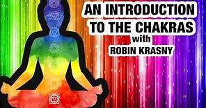 Beginners Guide to Chakras - Everything You Need to Know About Chakras