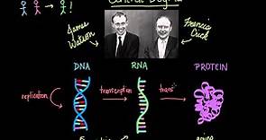 Central dogma of molecular biology