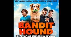 The Bandit Hound Official Trailer