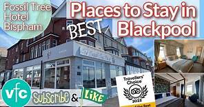 Best of the Best Hotels in Blackpool | Fossil Tree Hotel | Look Inside!