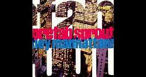 Prefab Sprout / B Side of From Langley Park To Memphis singles (digest)