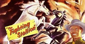 The Fighting Stallion (1950) | Full Movie | Robert Emmett Tansey | Bill Edwards, Doris Merrick
