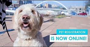 Pet Licensing | Online Registration Now Available