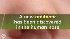 New antibiotic discovered in the human nose!