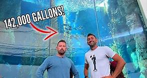 Is Aquarium of the Pacific the Best Public Aquarium?!