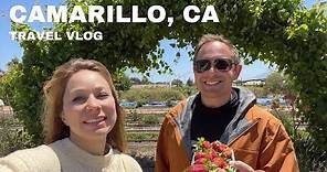 CAMARILLO CALIFORNIA - TOP THINGS to SEE and DO #travelvlog