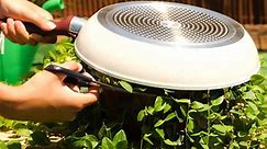Smart hacks for your beautiful yard and garden