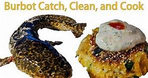 Ice Fishing Burbot: Catch, Clean, and Cook (Recipe Below)