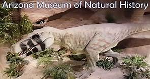 Arizona Museum of Natural History | Mesa, Arizona