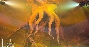 Colossal Squid Amazing Facts The Colossal Squid is the largest invertebrate on the planet