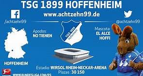Todo lo que debe saber sobre el TSG 1899 Hoffenheim