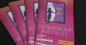 'Highway Patrol' Chicago: Actress Dana Delany talks new show at the Goodman Theatre