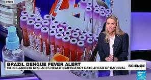 Dengue fever outbreak in Brazil: Rio declares health emergency ahead of Carnival • FRANCE 24