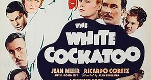 The White Cockatoo 1935 with Ricardo Cortez, Jean Muir and Ruth Donnelly.