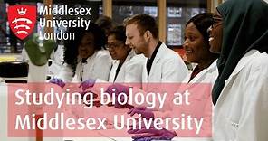 Studying a Biology Degree at University | Middlesex University