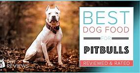 10 Best Dog Foods for Pitbulls: Our 2023 Bully Feeding Guide