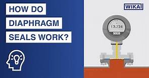 How do diaphragm seals work? | Areas of application and advantages in pressure measurement