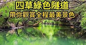 【台南必遊景點】四草綠色隧道，台版亞馬遜河。在第一排最佳位置，最佳角度，觀賞全程美景與倒影。（2022.2.17 手機拍攝）