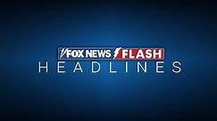 Fox News Flash top headlines for November 24