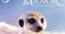 Meerkat Manor: The Story Begins (2008) Online - Película Completa en Español - FULLTV