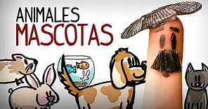 Los animales: mascotas. Aprender vocabulario español
