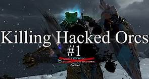 Killing a Hacked Orc in Vendetta (Shadow of War) #1