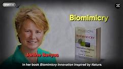 What is Biomimetic Design?