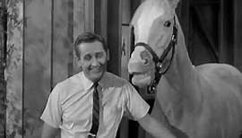 Mr Ed The Talking Horse The Empty Feed Bag Blues