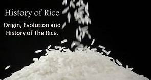 History of The Rice | Story of The Rice | Origin of Rice | Eatables Founder
