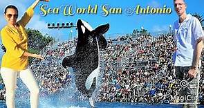 Full Tour of SeaWorld San Antonio in Texas 2023 4K