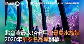 北台灣最大！4千坪八景島水族館 2020年華泰名品城開幕